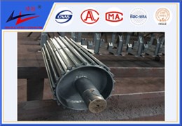 bevictor伟德-鼠笼式滚筒