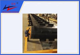 bevictor伟德-横隔板式运送机