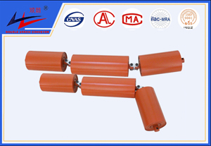 bevictor伟德-串式托辊组