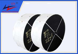 bevictor伟德-聚酯运送带